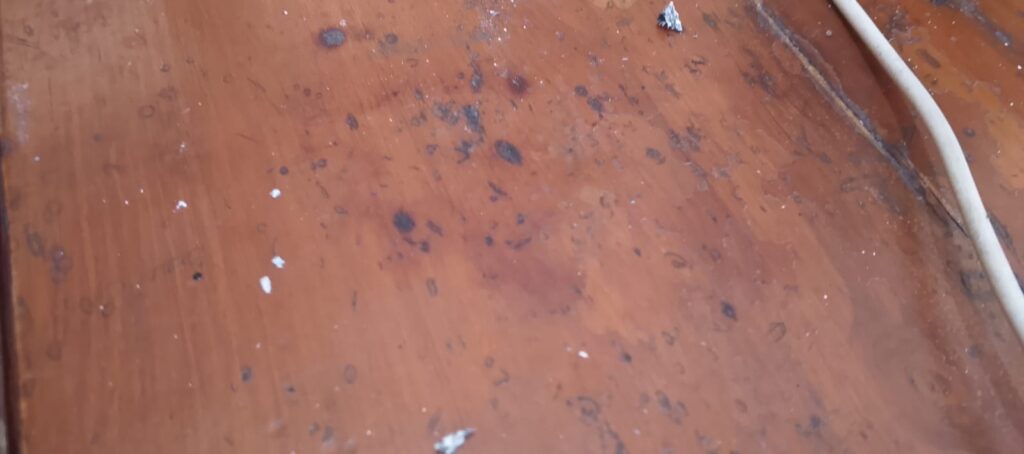 Kepala Dinas Pemberdayaan Masyarakat dan Desa(DPMD), Sosialisasi Aplikasi Pusaka Bumdes