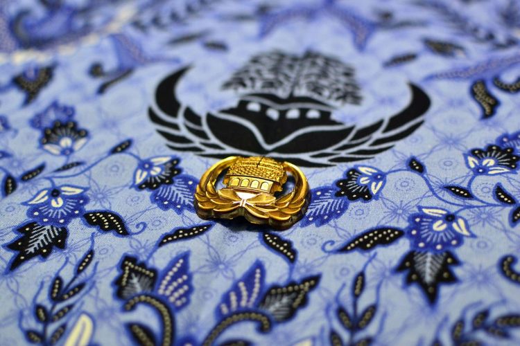 ASN Akan Dilatih Comcad Selama 1,5 Bulan