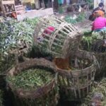 Saling Lempar Tanggung Jawab: Sampah Pasar Keputran Menumpuk