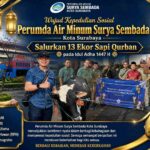 PAM Surya Sembada Surabaya Salurkan 13 Sapi Qurban