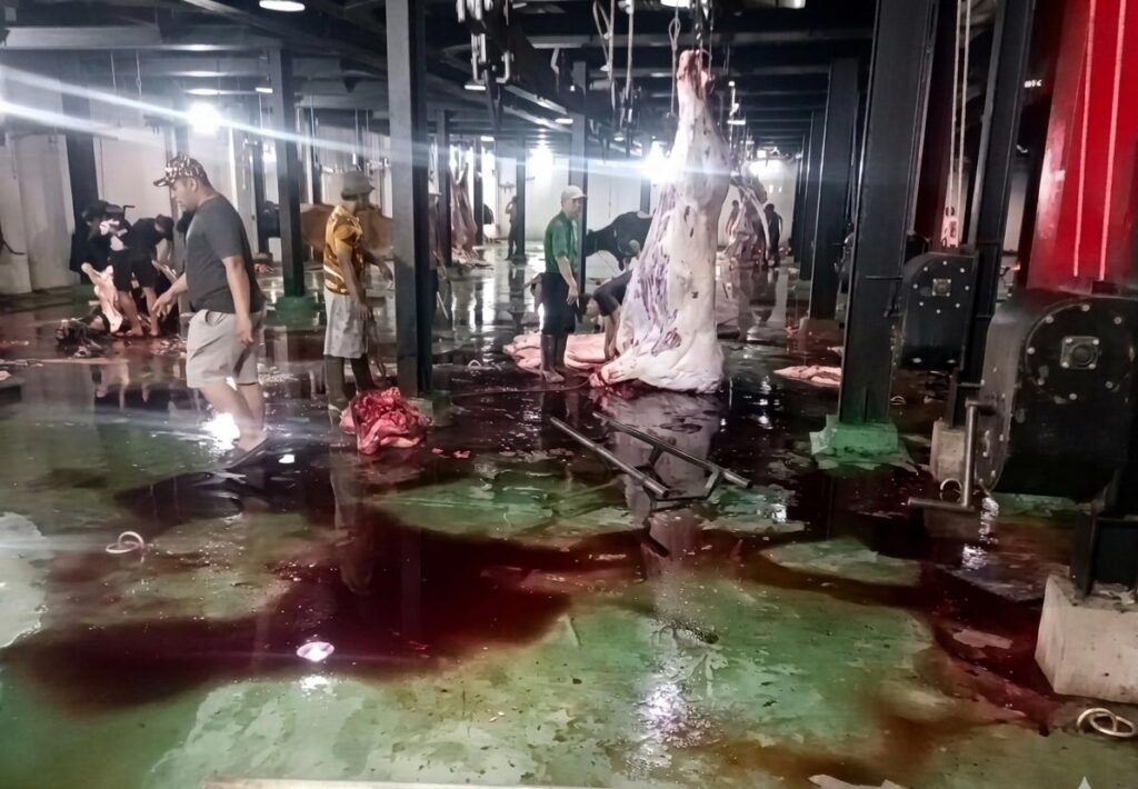 RPH Osowilangun Dikeluhkan, Fasilitas Dinilai Belum Siap