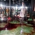 RPH Osowilangun Dikeluhkan, Fasilitas Dinilai Belum Siap